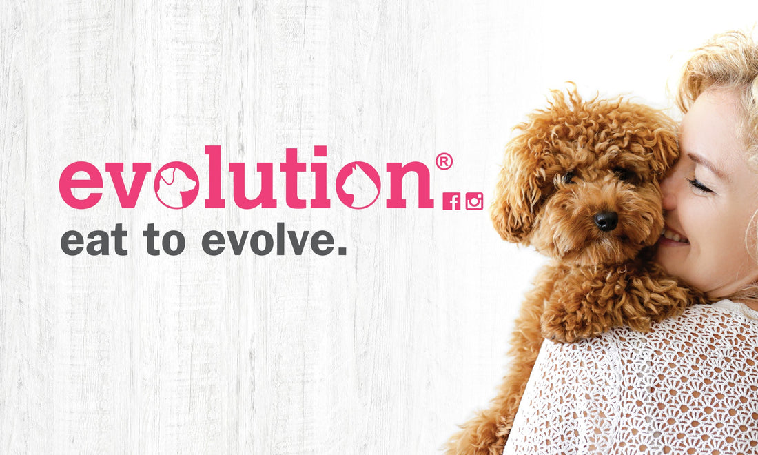 Evolution Pet Food - the best in class for your fur baby - Mountains Natural Pet Foods