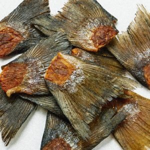 Salmon Tail - Fish - Mountains Natural Pet Foods